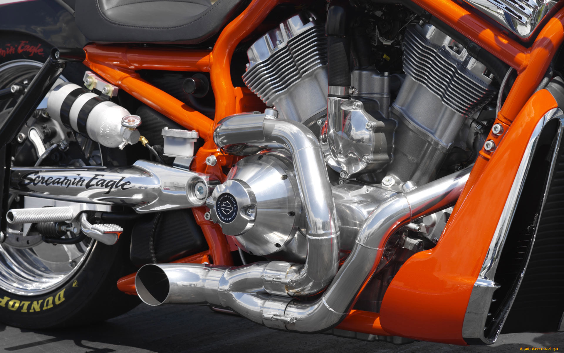, harley, davidson